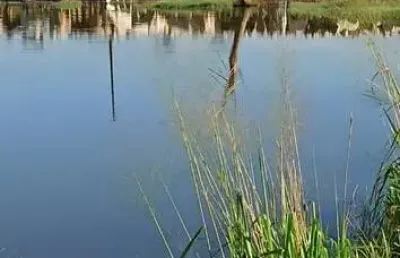 Fazenda para pecuária com 525 alqueires em pacajá-pa