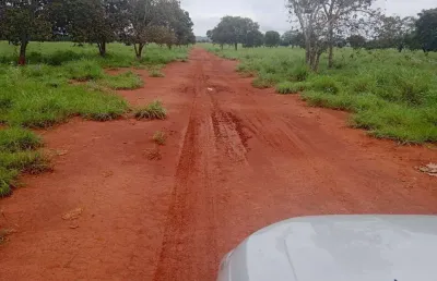 Grande fazenda de dupla aptidão com 1.400 alqueires em silvanópolis-to