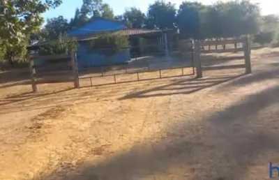 Fazenda com 310 alqueires de dupla aptidão em palmeirópolis-to