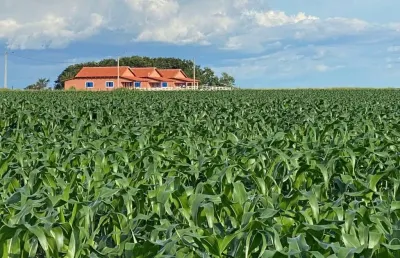 Fazenda com 1.050 alqueires dupla aptidão no município de santana do araguaia - pa