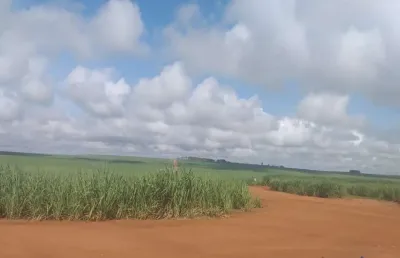 Fazenda 304 alqueires plantada em cana e arrendada em mineiros-go
