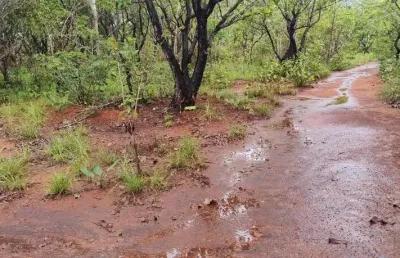 Fazenda com 245 alqueires de dupla aptidão em araguacema-to