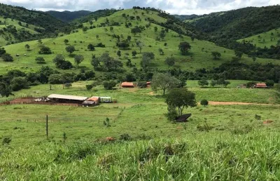 Ótima fazenda para pecuária com 420 alqueires e são luiz do norte-go