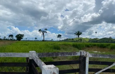 Fazenda dupla aptidão com 300 alqueires em são félix do xingu - pa