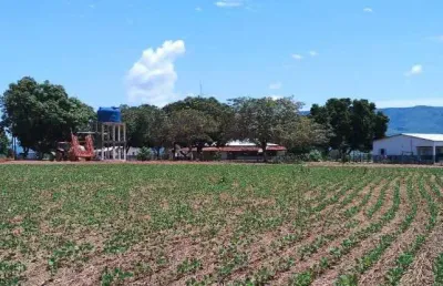 Fazenda de dupla aptidão com 95 alqueires em formosa-go