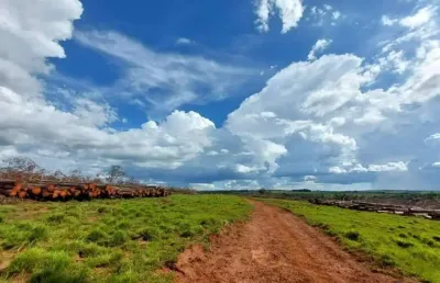 Fazenda com 63 alqueires de dupla aptidão em uberlândia-mg
