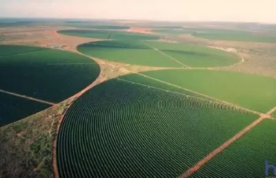Fazenda com 420 alqueires com cultivo de café irrigado em buritizeiro-mg