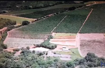 Fazenda 38 alqueires paulistas dupla aptidão em capitólio-mg