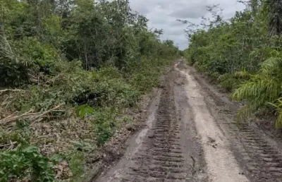 Fazenda com 2.900 alqueires de área bruta dupla aptidão no município de coelho neto - ma