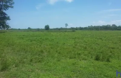 Fazenda dupla aptidão com 2.416 alqueires em flores de goiás - go