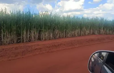 Fazenda com 274 alqueires com cana arrendada na região de andradina-sp