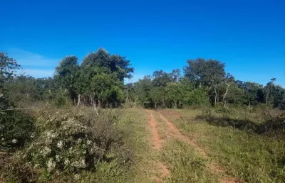 Sítio muito bem localizado com 7 alqueires em uberlândia-mg