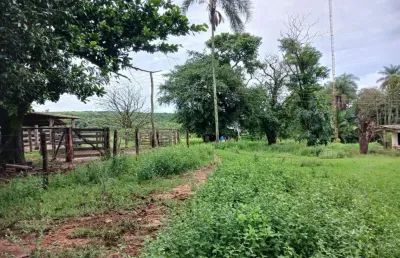 Oportunidade fazenda com 136 alqueires em uberaba-mg arrendada para cana