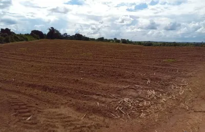 Fazenda de dupla aptidão com 70 alqueires em uberaba-mg
