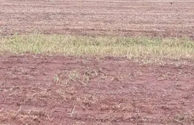 Excelente fazenda de dupla aptidão com 450 alqueires em montividiu-go