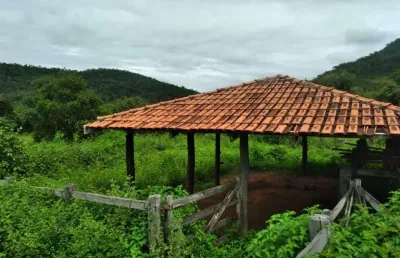 Fazenda de dupla aptidão com 71 alqueires em minaçu-go