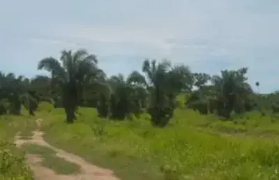 Fazenda com 355 alqueires de dupla aptidão no vale do araguaia em goiás