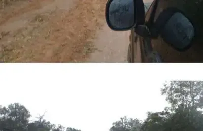 Fazenda bruta com 37 alqueires de dupla aptidão em caxias-ma