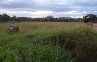 Oportunidade fazenda com 202 alqueires de dupla aptidão em cavalcante-go