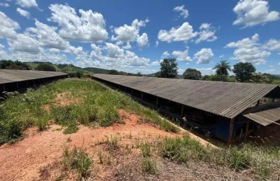 Fazenda com 20 alqueires com granja de suínos em araguari-mg