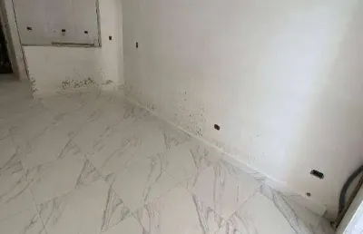 Apartamento com 1 dormitório à venda, 51 m² por r$ 350.000,00 - vila guilhermina - praia grande/sp