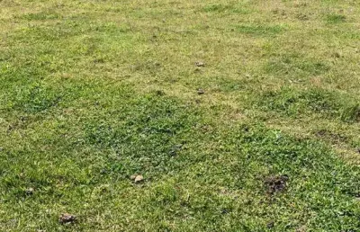 Fazenda à venda, 532400 m² por r$ 3.500.000,00 - faisqueira - pouso alegre/mg