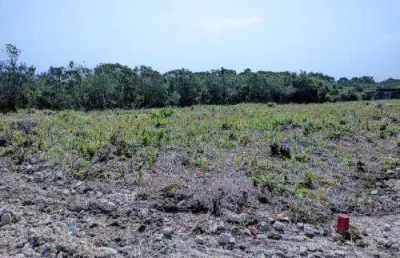 Terreno à venda na Avenida Marginal, 11464, Balneário Tupy, Itanhaém
