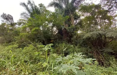 Terreno à venda no Jardim São Francisco, Peruíbe 