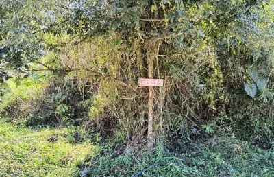 Terreno à venda no Jardim das Palmeiras, Itanhaém 