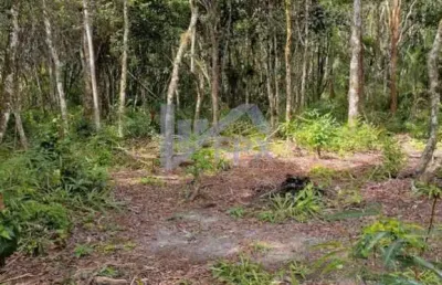 Chácara / sítio à venda no Parque Real, Itanhaém 
