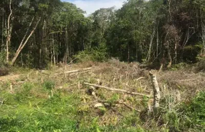 Terreno à venda em Indaiá, Itanhaém 