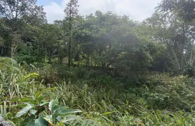 Terreno à venda em Balneário Marambaia, Itanhaém 