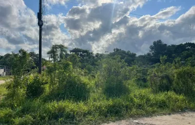 Terreno à venda no Parque Vergara, Itanhaém 