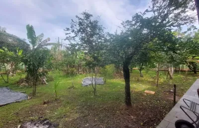 Terreno para venda em itanhaém, jardim das palmeiras