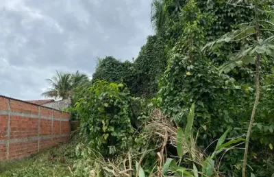 Terreno para venda em itanhaém, jardim das palmeiras