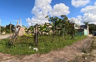 Terreno para venda em itanhaém, jardim das palmeiras