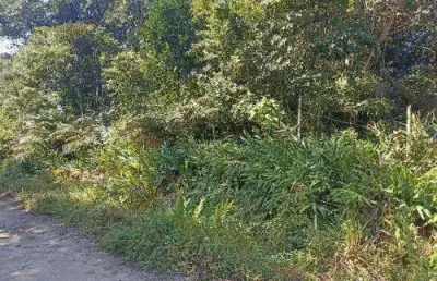 Terreno à venda no São Fernando, Itanhaém 