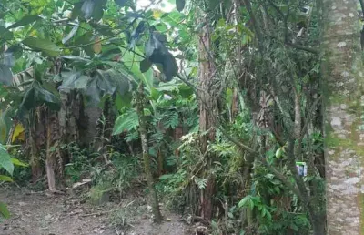 Terreno para venda em itanhaém, nossa senhora do sion