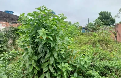 Terreno à venda no Balneário Iemanjá, Itanhaém 