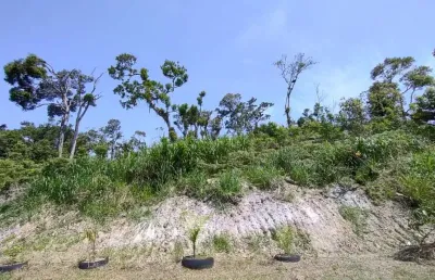 Terreno à venda no Jardim Umuarama, Itanhaém 