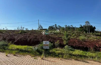 Terreno à venda na valdir de souza nunes, 50, porto dos pereiras, montenegro, 275 m2 por r$ 115.000