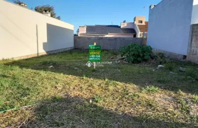 Terreno à venda na albano teixeira da silva, santa rita, montenegro, 200 m2 por r$ 115.000