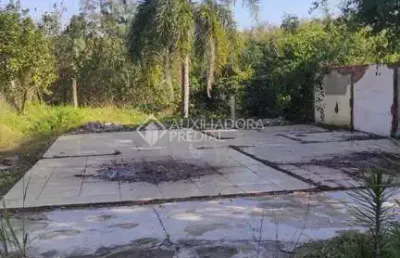 Terreno comercial à venda na torbjorn weibull, 529, tanac, montenegro, 267 m2 por r$ 80.000
