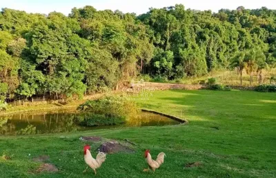 Chácara / sítio à venda na Rua Theobaldo Schmitt, Pinhal Alto, Nova Petrópolis
