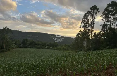 Chácara / sítio à venda na Vicente Preito, Pinhal Alto, Nova Petrópolis