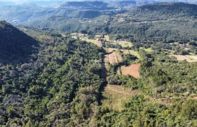 Terreno comercial à venda na Rs 235, Linha Araripe, Nova Petrópolis