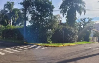 Ponto comercial à venda na Rua 28 De Fevereiro, Logradouro, Nova Petrópolis