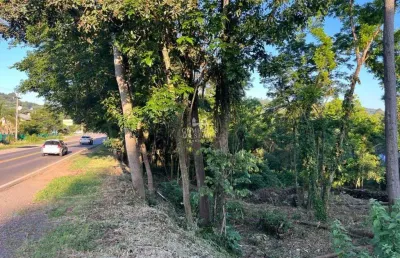 Terreno comercial à venda na Rs 235, Piá, Nova Petrópolis