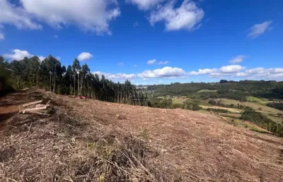 Terreno comercial à venda na Sn, Pinhal Alto, Nova Petrópolis