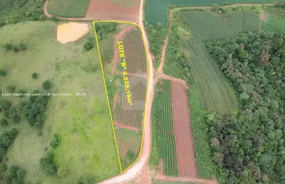 Área rural para venda em campo magro, capivara dos freitas